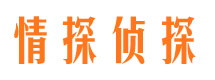 浔阳市侦探公司